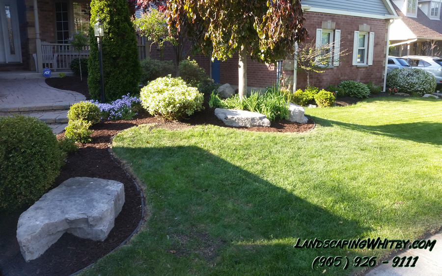 Garden Bed Pruning and Clean-Up